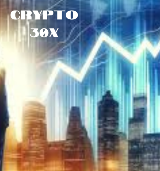 Crypto 30x