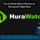 Top 10 Must-Watch Movies on Hurawatch Right Now